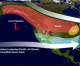 July 9 El Niño Advisory: 90% Chance El Niño This Winter