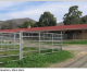 Construction To Start On New Cal Poly Ag Complex