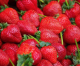 Santa Maria strawberry production way down this year