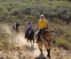 Los Osos Committee backs equestrian trail use