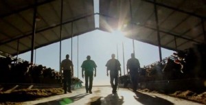 dairymen 2013-07-13 at 12.01.22 PM