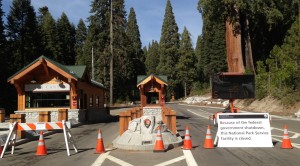 Entrance To Kings Canyon NP