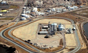 Stockton plant