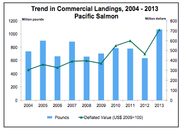 Salmon landings in California were up in 2013, but not in Morro Bay