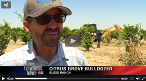 farmer Jon Gless this summer