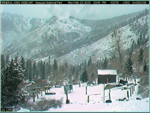 Light snow in Mineral King