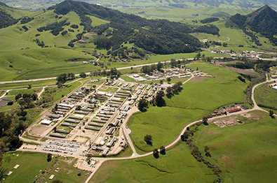 Mens Colony in SLO
