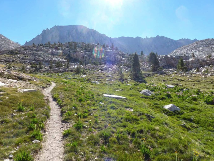 near Crabtree Meadow