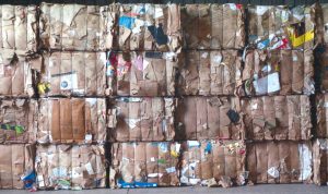 cardboard KWRA 2019-07-24 at 7.29.42 AM