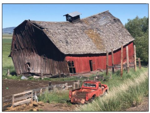 barn 2019-08-24 at 12.55.19 PM