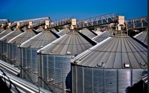Pistchio storage at Setton Farms in Terra Bella 2020-02-11 at 12.34.42 PM