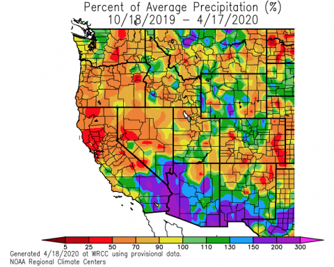 water year has been dry in north and wet in the south