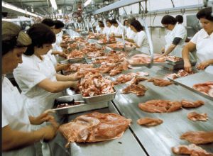 food processing is virus hot spot