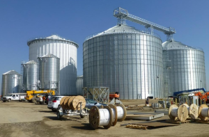 Pitman feed mill under construction a few years ago in Hanford