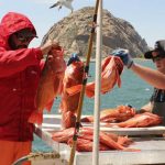 Morro Bay fisherman2020-07-10 at 2.25.37 PM