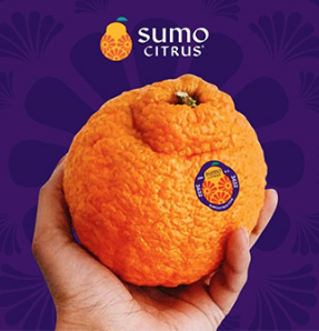 Citrus graphic 2021-01-25 at 7.06.54 AM