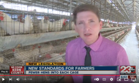 2015 broadcast discusses challenges to small Bakersfield egg producer