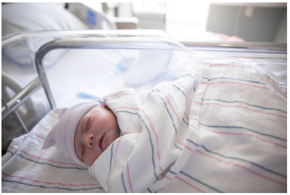 baby bust