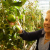 Discovery May Lead To Tomatoes With Vintage Taste