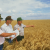 Blending Organic & Conventional Farming