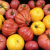 UFW Wins Vote At Fresno County Ranch
