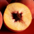 Ag Briefs: Tree Fruit / Olives /Processing Tomatoes