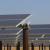 ASSEMBLY TO VOTE ON COMMUNITY SOLAR BILL