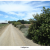 Hedgerows Enhance Bird Abundance & Diversity On Farms