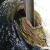 It’s Alive… Aquatic Weed Chokes Friant Kern Canal