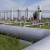 Natural Gas Price Down Nearly One Third Last Year