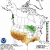 After Wet December – Dry Winter Looms