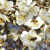 Troubling Honey Bee Shortage in California Almond Orchards
