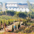 Nurseries Report Resurgence Of Plant Sales