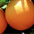 CITRUS INDUSTRY VETERAN TO TAKE THE HELM AT CALIFORNIA’S CITRUS RESEARCH BOARD