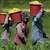 Farm Leaders Urge House To Follow Senate And Pass Immigration Reform