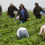 Ag to Valley House GOP: ‘ Inaction Not An Option’ On Immigration