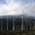 U.S. Wind Energy Production and Manufacturing Reaches Record Highs