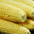 USDA Expects 2013 Crop To Be Record-Breaker