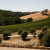 SLO County: Board Backs Urgency Water Measure / Will Look At Supplemental Sources Too