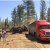 Generating Energy From Forest Products