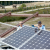 Fifty Families Help Fresno Chaffee Zoo Go Solar with SunPower