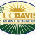 Making “Biogasoline” From Plant Waste