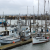 Drought Does Not Slow Salmon Numbers – Milk, Strawberry Or Walnut Production