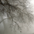 Central Valley Sees 46% Less Wintertime Fog Needed By Fruit & Nut Crops