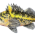 Huge Improvement in Seafood Watch Rankings for Key West Coast Fisheries