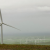 Google Buying Wind Power