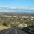 Reuters Reports Harvard Buys Paso Grape Land