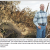 Biomass Plant Closures Affect Farmers