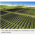 Kings County: Largest Solar Plant Breaks Ground