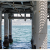 Cal Poly Helps Test Underwater Datacenter